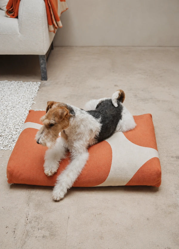 STONE — Coussin pour chien au tissu distinctif façon pierre naturelle