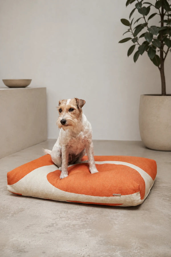 STONE — Coussin pour chien au tissu distinctif façon pierre naturelle