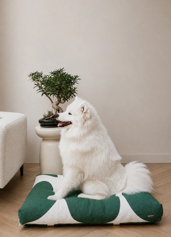 STONE — Coussin pour chien au tissu distinctif façon pierre naturelle