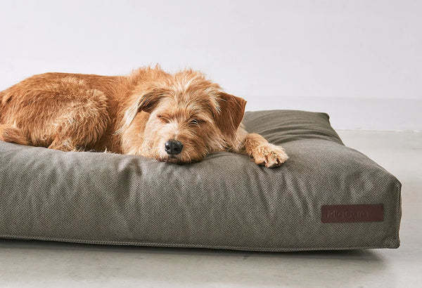 MARE — Coussin pour chien en fibre recyclée SEAQUAL