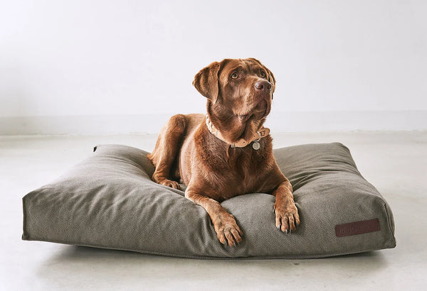 MARE — Coussin pour chien en fibre recyclée SEAQUAL