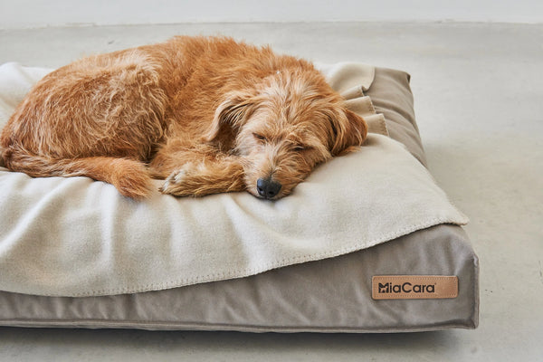 UNICA — Couverture polaire chinée pour chien