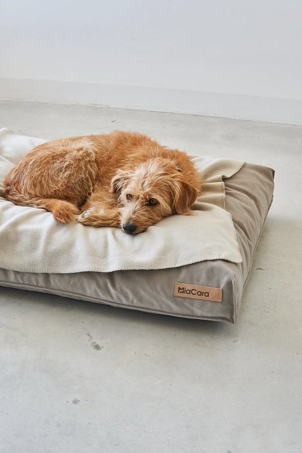 UNICA — Couverture polaire chinée pour chien