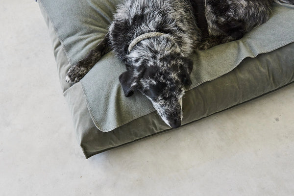 UNICA — Couverture polaire chinée pour chien