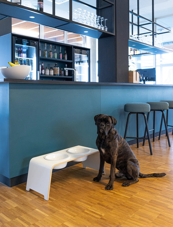 DOGBAR CLASSIC — Support gamelles surélevé en bois pour chien