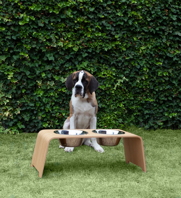 DOGBAR CLASSIC — Support gamelles surélevé en bois pour chien