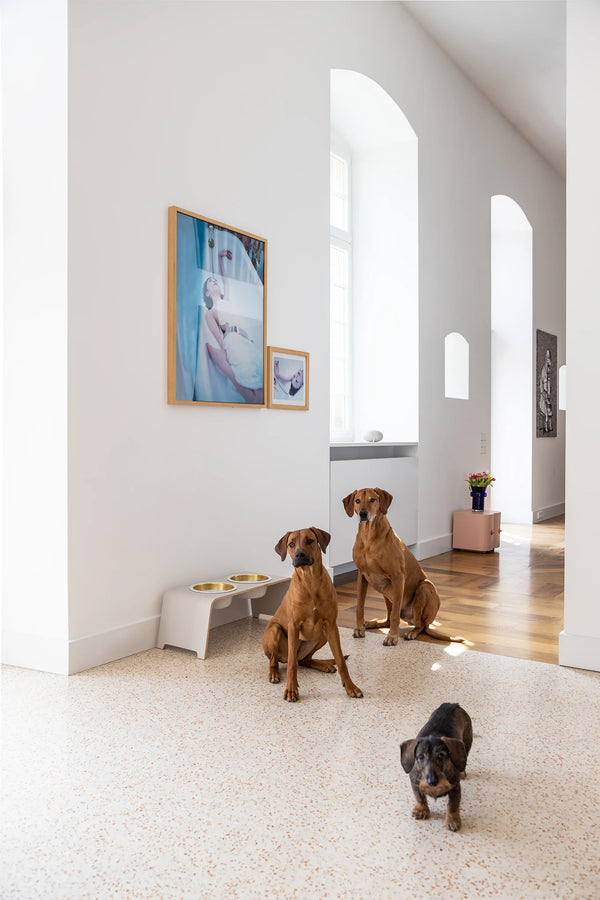 DOGBAR CLASSIC — Support gamelles surélevé en bois pour chien