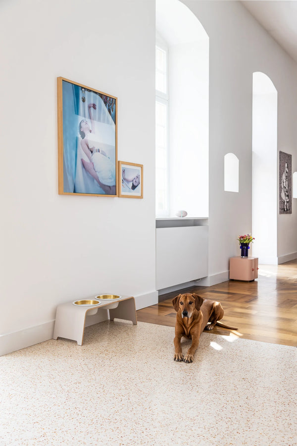 DOGBAR CLASSIC — Support gamelles surélevé en bois pour chien