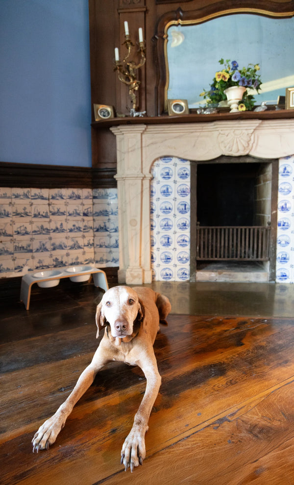 DOGBAR CLASSIC — Support gamelles surélevé en bois pour chien