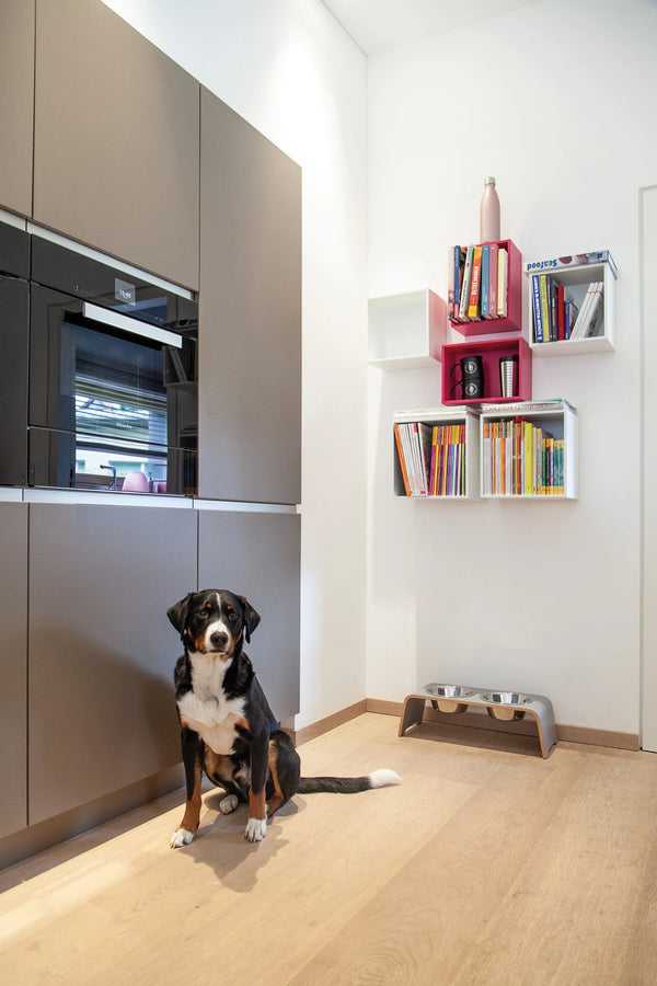 DOGBAR CLASSIC — Support gamelles surélevé en bois pour chien