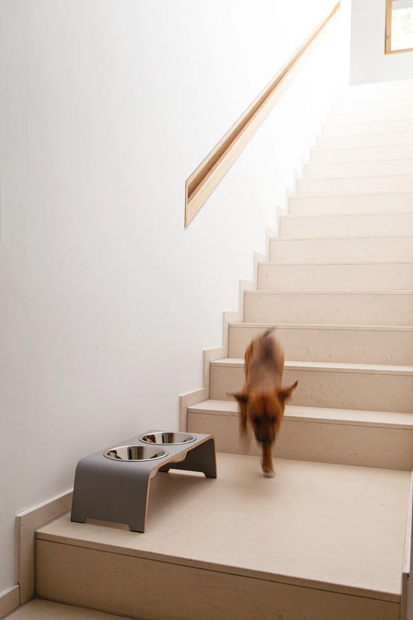 DOGBAR CLASSIC — Support gamelles surélevé en bois pour chien