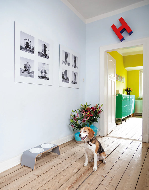 DOGBAR CLASSIC — Support gamelles surélevé en bois pour chien