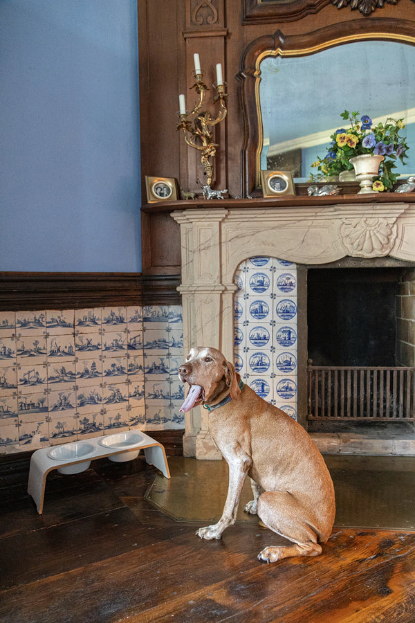 DOGBAR CLASSIC — Support gamelles surélevé en bois pour chien