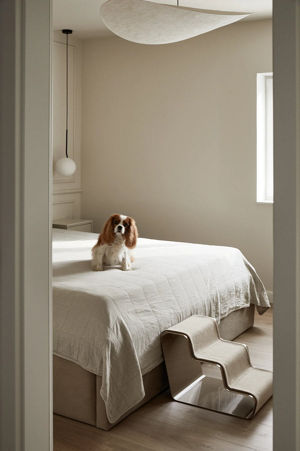 BEAM 3 MARCHES — Escalier design trois marches pour chien