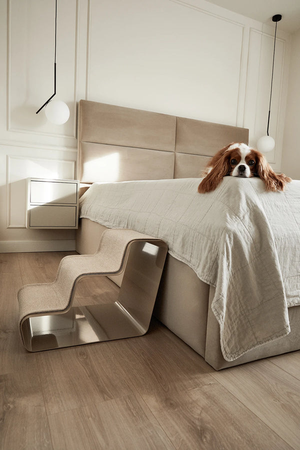 BEAM 3 MARCHES — Escalier design trois marches pour chien