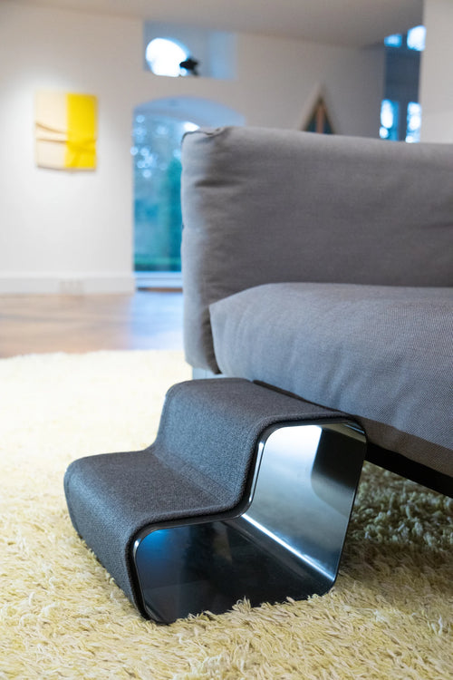 Beam – Détail de l'escalier chien anthracite posé contre un canapé – Maison Canisya
