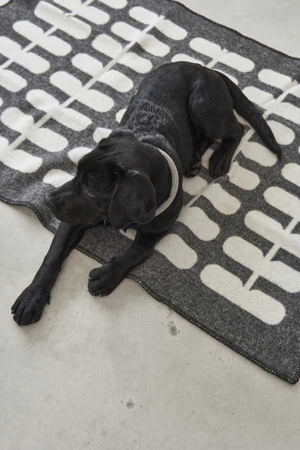 FLORA — Couverture en laine naturelle pour chien