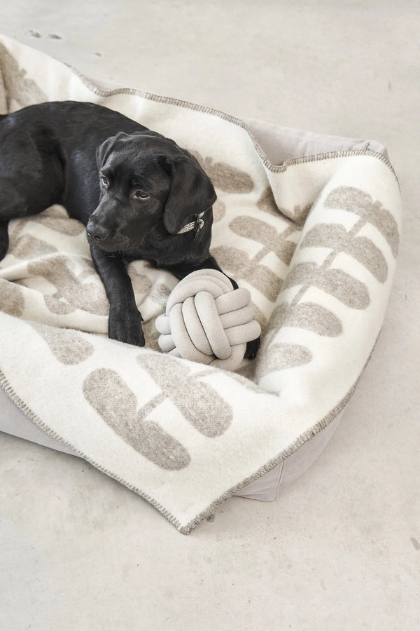 FLORA — Couverture en laine naturelle pour chien