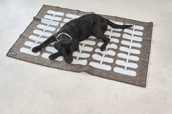 FLORA — Couverture en laine naturelle pour chien