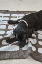 Flora – chien noir au repos sur la couverture chocolat et ciel clair – Maison Canisya