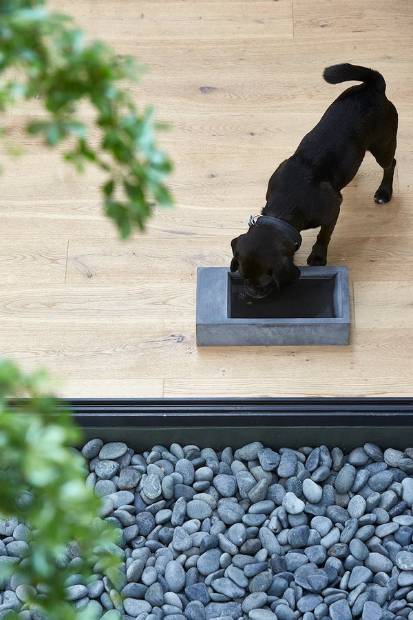 TROGOLO — Gamelle extérieure en béton pour chien