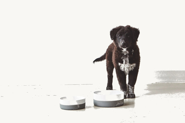 COPPA — Gamelle en porcelaine avec base silicone antidérapante