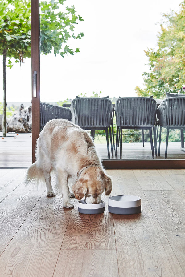 COPPA — Gamelle en porcelaine avec base silicone antidérapante