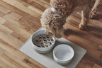 Gamelle Coppa MiaCara greige – cockapoo avec ralentisseur de repas sur parquet – Maison Canisya