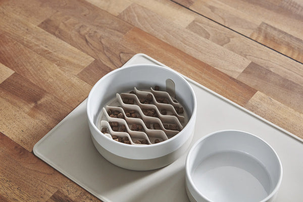COPPA — Gamelle en porcelaine avec base silicone antidérapante