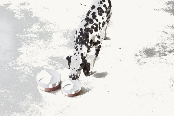 COPPA — Gamelle en porcelaine avec base silicone antidérapante