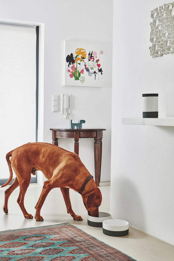 COPPA — Gamelle en porcelaine avec base silicone antidérapante