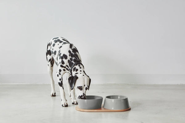 DOPPIO — Set de gamelles design en porcelaine pour chien