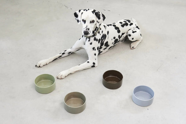 SCODELLA — Gamelle en porcelaine design pour chien