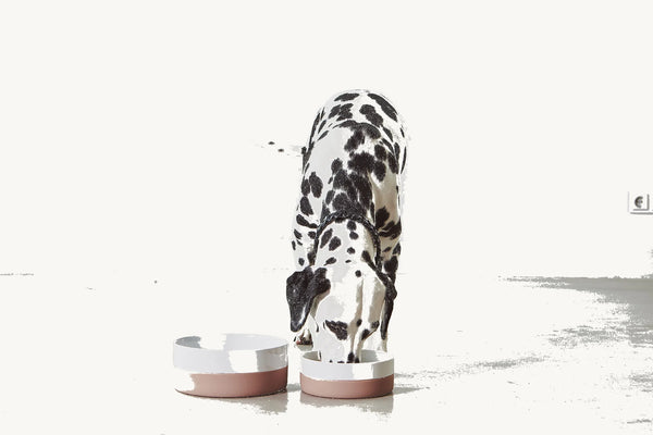COPPA — Gamelle en porcelaine avec base silicone antidérapante