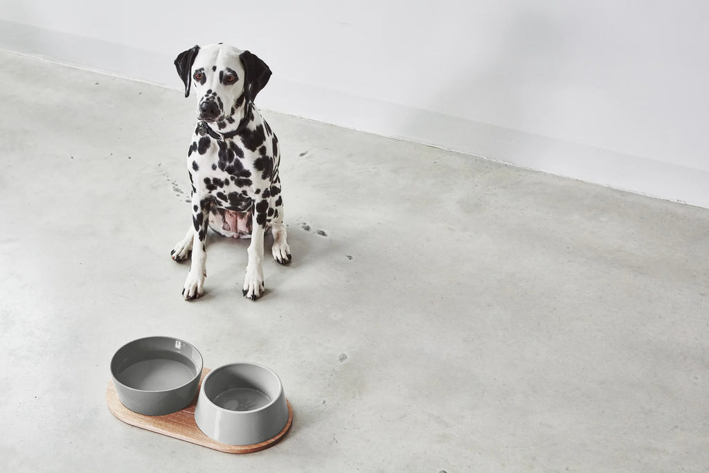 Doppio MiaCara – Set gamelles béton sur plateau chêne, vue détail en cuisine – Maison Canisya