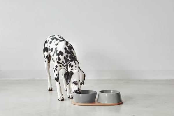 DOPPIO — Plateau en chêne naturel laqué pour gamelles design