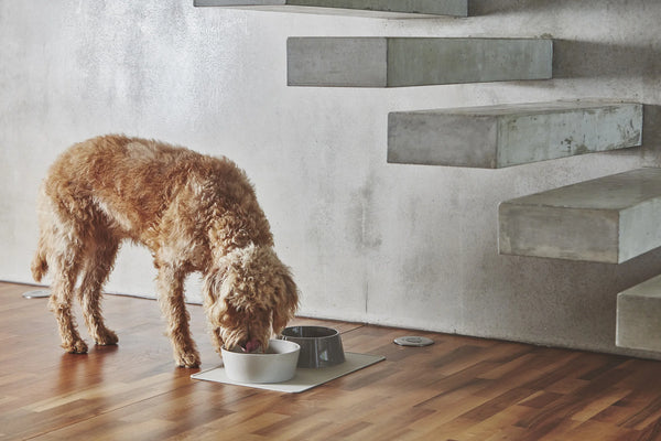 DOPPIO — Plateau en chêne naturel laqué pour gamelles design