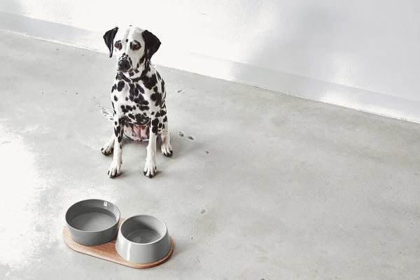 DOPPIO — Plateau en chêne naturel laqué pour gamelles design