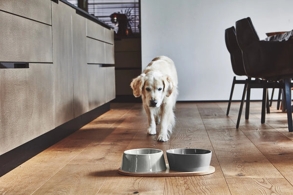 DOPPIO — Plateau en chêne naturel laqué pour gamelles design