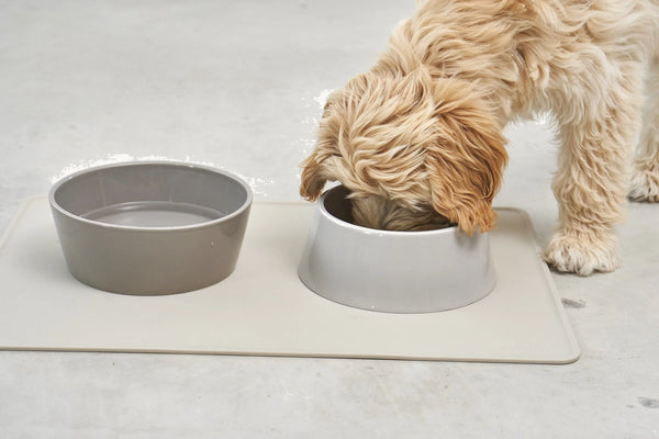 DOPPIO — Set de gamelles design en porcelaine pour chien