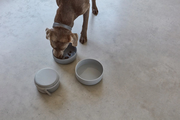 BENTO — Set gamelle de voyage design pour chien