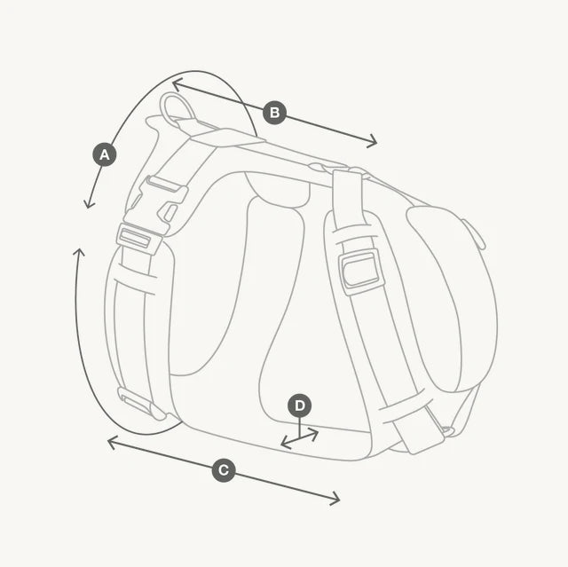 Guide des tailles Harnais Modena – schéma illustré des mesures A, B, C et D avec indicateurs visuels – Maison Canisya