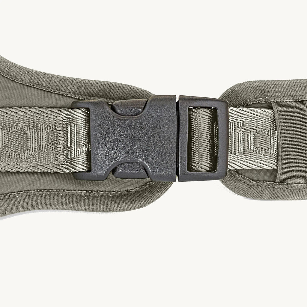 Harnais Modena Walk Grolive, détail boucle de fermeture rapide – Maison Canisya