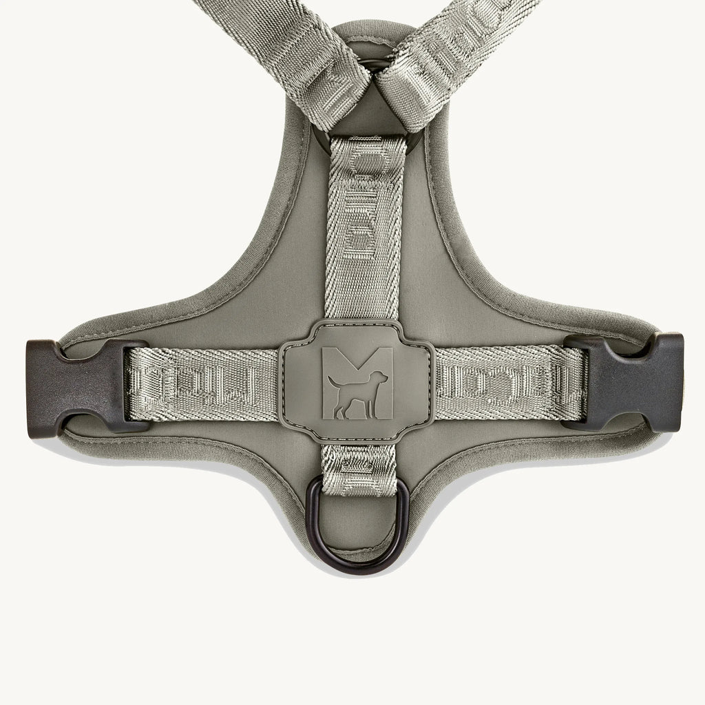 Harnais Modena Walk Grolive, détail plastron ventral et anneau en D – Maison Canisya