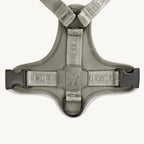 Harnais Modena Walk Grolive, détail plastron ventral et anneau en D – Maison Canisya