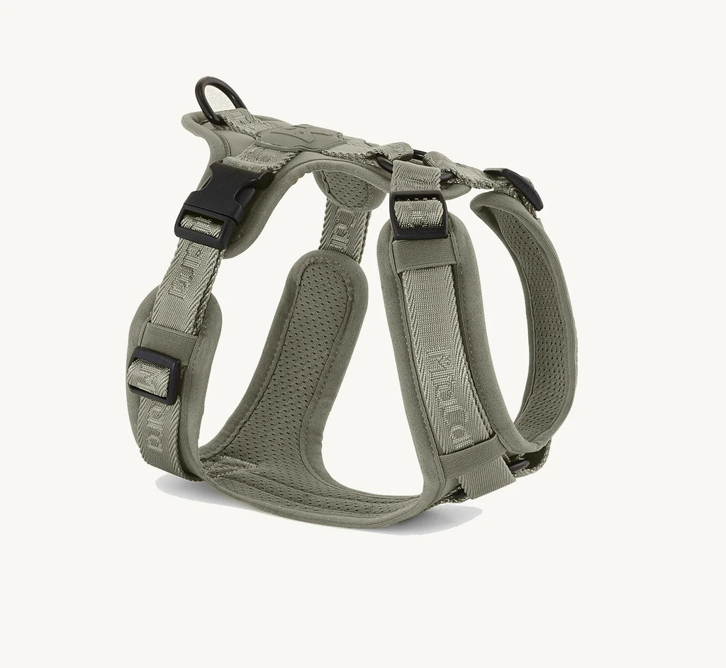 Harnais Modena Walk couleur Grolive taille XS, vue trois-quarts avant – Maison Canisya