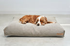 Housse coussin chien Mondo cappuccino — Cocker Spaniel endormi vue de face — Maison Canisya