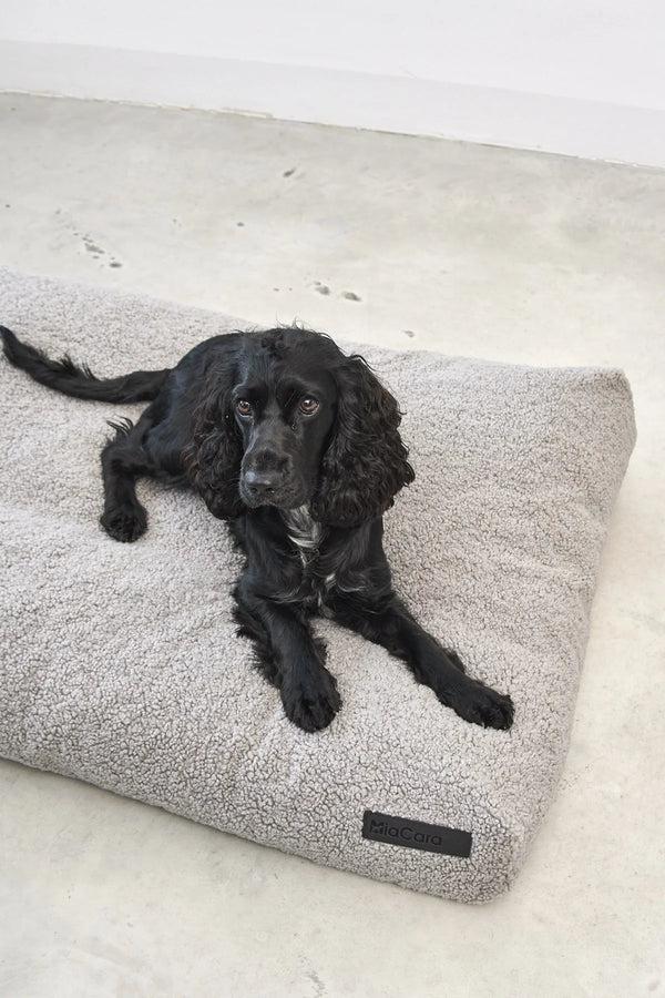 SENSO — Housse de coussin pour chien en tissu bouclé