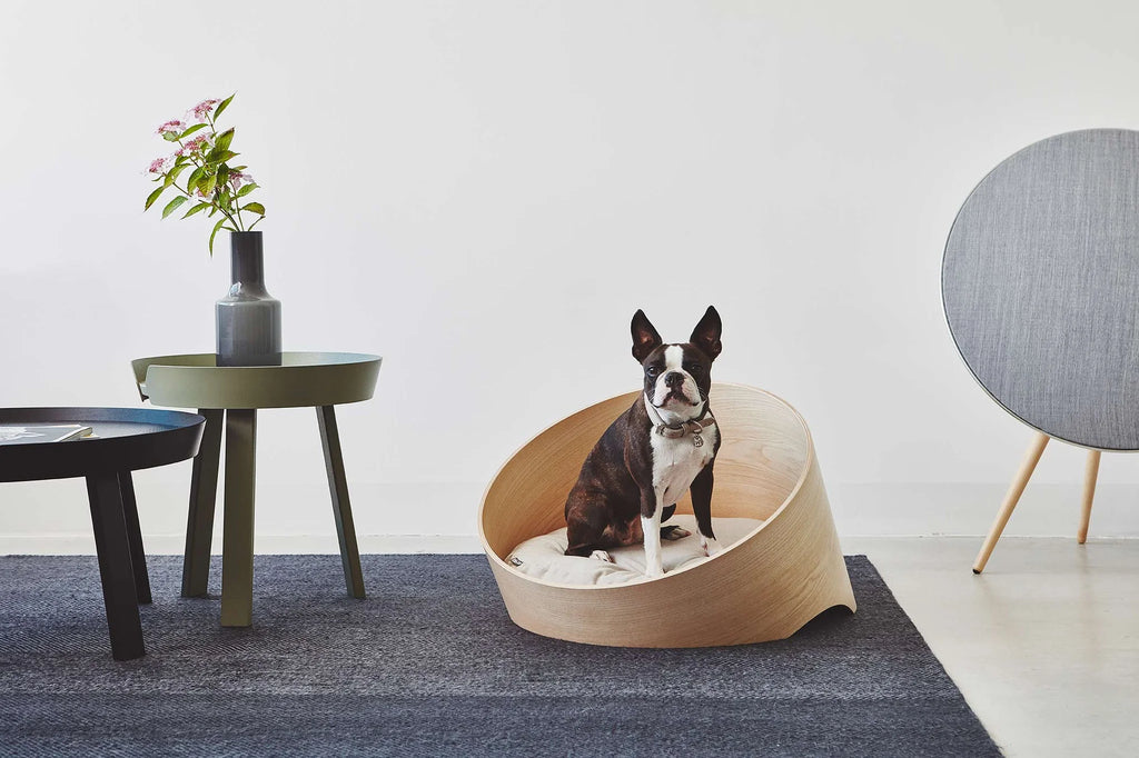 Covo Cover MiaCara – housse sable sur panier Covo frêne avec Boston Terrier dans un salon design – Maison Canisya