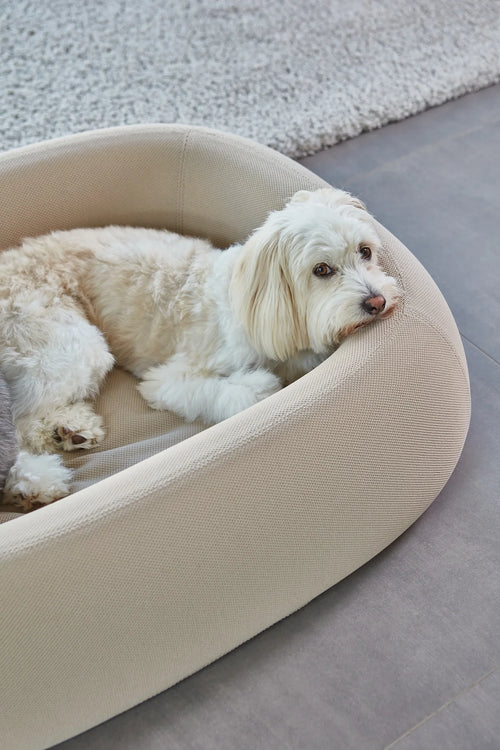 Housse Barca Cover Taupe avec petit chien blanc au repos — Maison Canisya